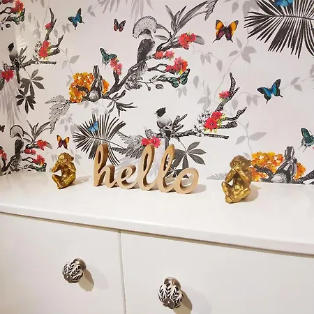 Boutique And Beautiful Bristol Apartment 公寓